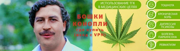 ГАЛЛЮЦИНОГЕННЫЕ ГРИБЫ Верхнеуральск